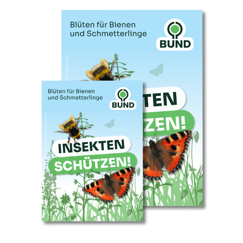 BUND Samentuetchen Widlblumenwiese