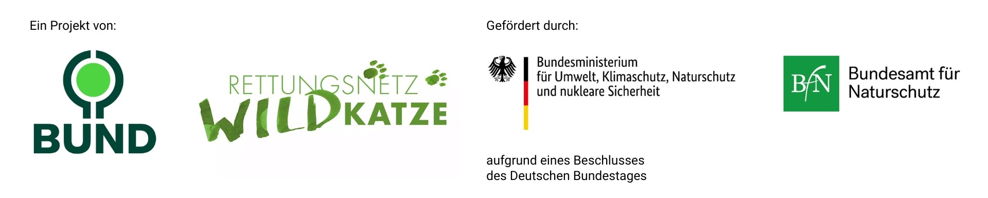 Logos des BUND, des Projektes "Rettungsnetz Wildkatze", des BMUKN und des Bundesamtes für Naturschutz