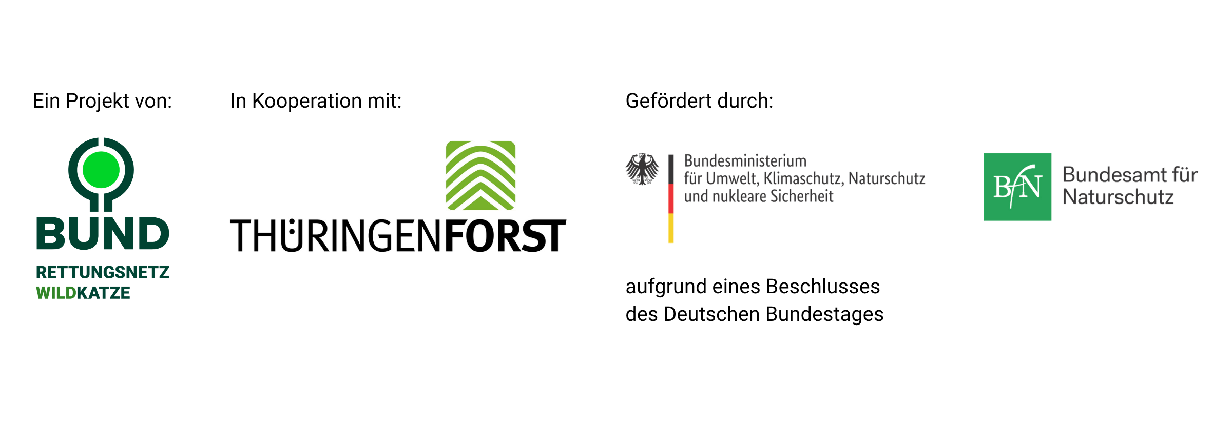 Ein Projekt vom BUND, In Kooperation mit dem Thüringen Forst, Gefördert durch das Bundesministerium für Umwelt, Klimaschutz, Naturschutz und nukleare Sicherheit sowie das Bundesamt für Naturschutz
