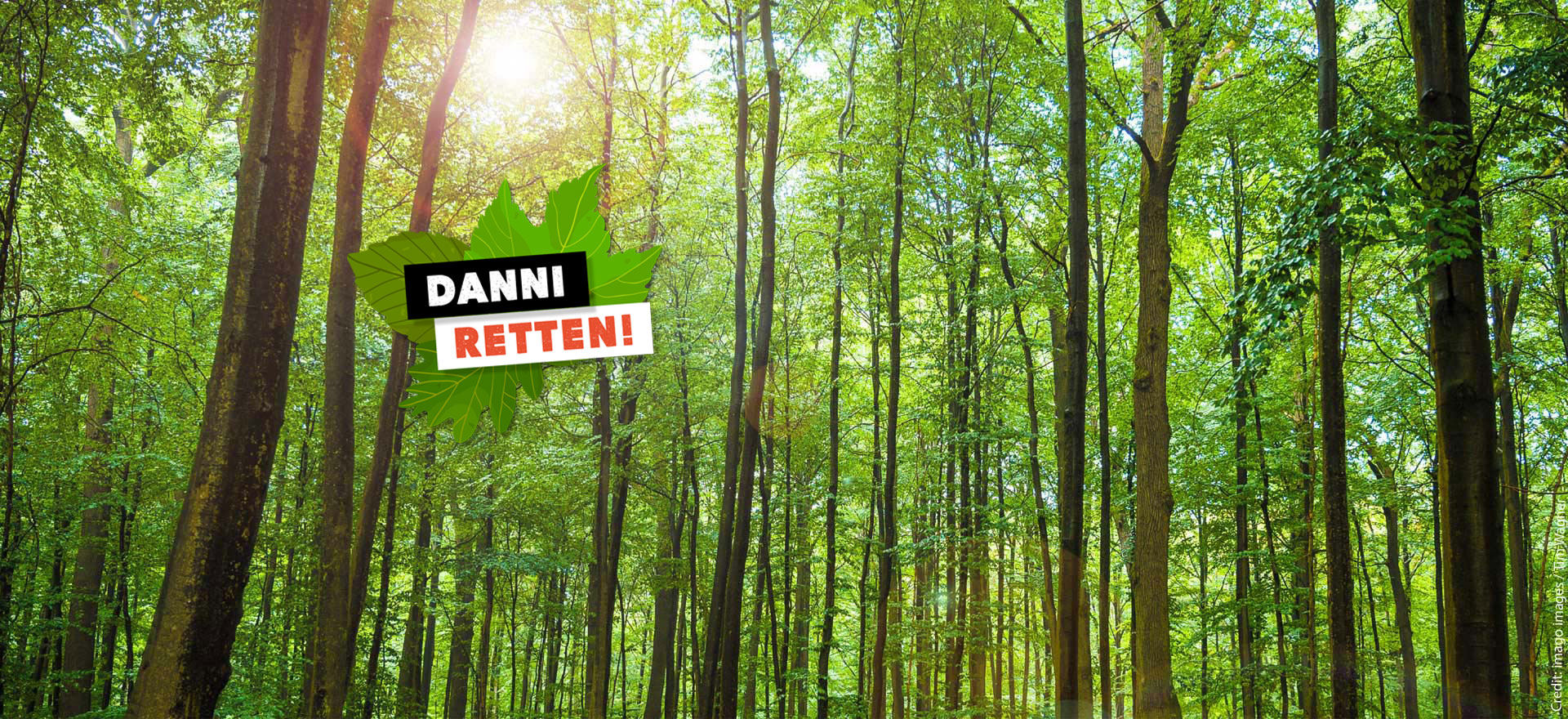 Alter Wald statt neue Straßen! Danni retten! Credit: imago images / Tim Wagner