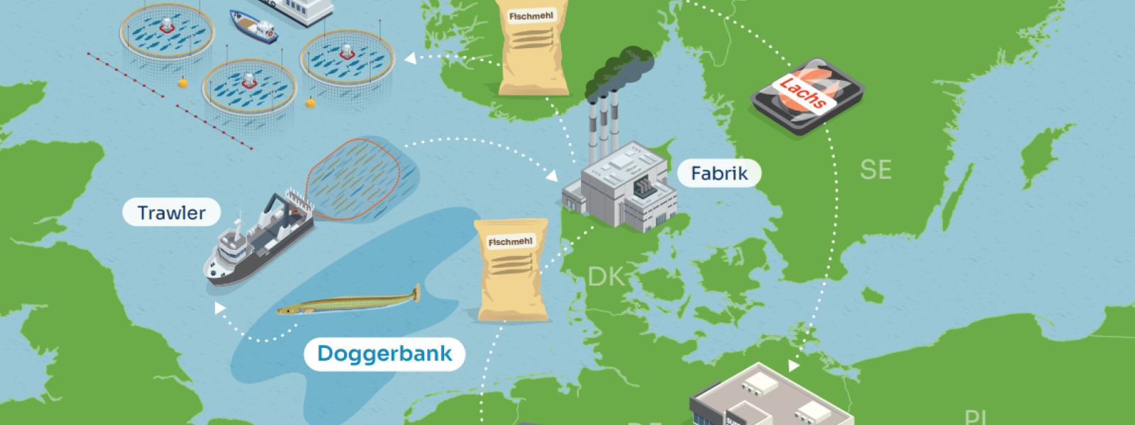 Grafik zum Weg des Sandaals Grafik zum Weg des Sandaals